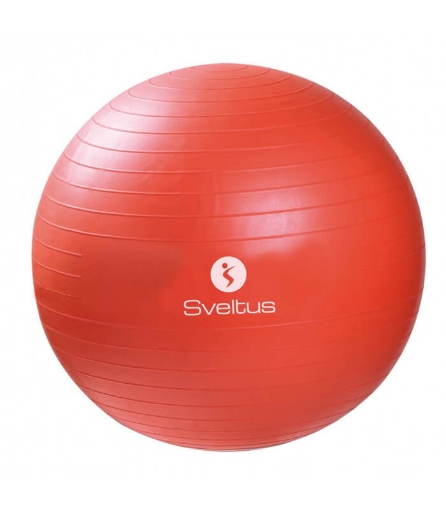 Poza cu Pallo Fitness - Ø55 Sveltus